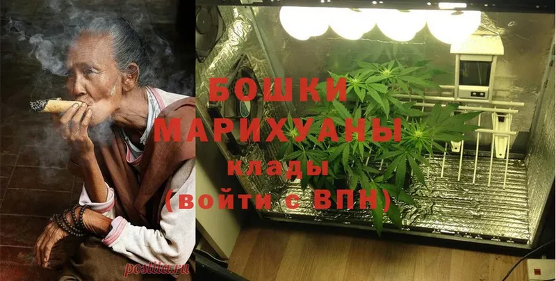 Марихуана OG Kush  где купить наркотик  Болотное 